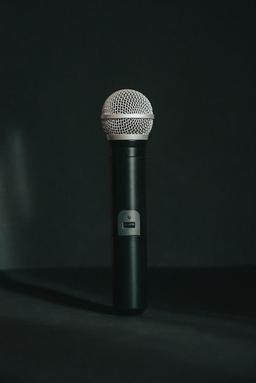  EchoCrisp Pro Mic